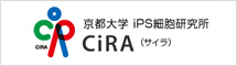 京都大学 iPS細胞研究所 CiRA（サイラ）